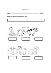 English Worksheet: The animals, verb can, actions verbs