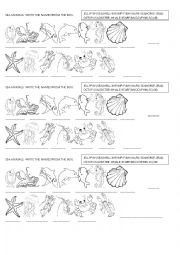 English Worksheet: SEA ANIMALS