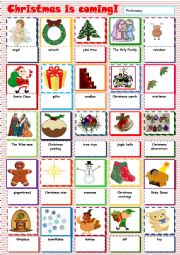 English Worksheet: Christmas is coming