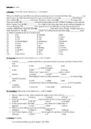 English Worksheet: read