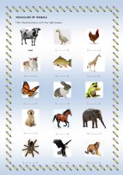 animals voabulary