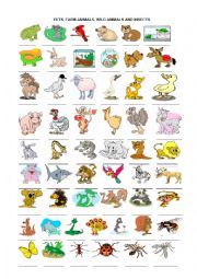 English Worksheet: animals