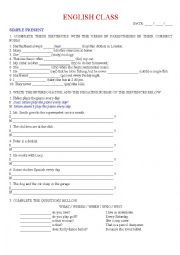 English Worksheet: Simple Present