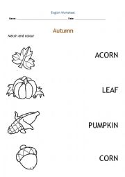 English Worksheet: Autumn vocabulary