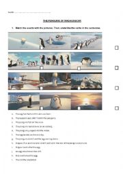 English Worksheet: The Penguins of Madagascar Video Class