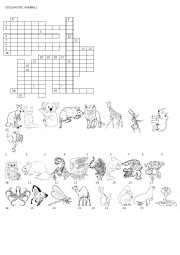 English Worksheet: ANIMALS - CROSSWORD