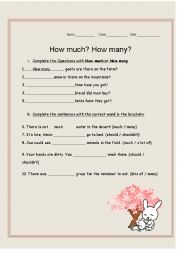 English Worksheet: How much How many