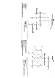 English Worksheet: Crossword