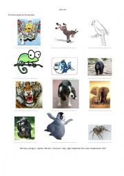 English Worksheet: animals