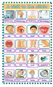 English Worksheet: a visit to the clinic