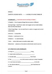 English Worksheet: life cycle