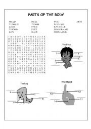 English Worksheet: HUMAN BODY