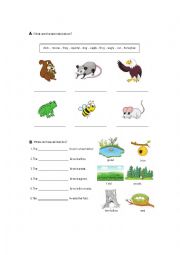 English Worksheet: Animal Homes
