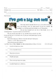 English Worksheet: 6th grade test