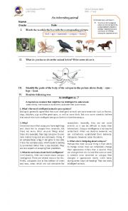 English Worksheet: An interesting animal