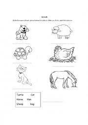 English Worksheet: Animals