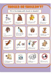 English Worksheet: Should Shouldnt Pet Care