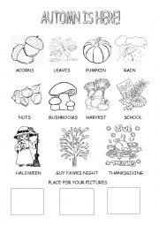 English Worksheet: Autumn is here!