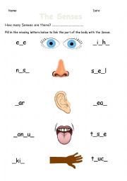 The 5 Senses Worksheet