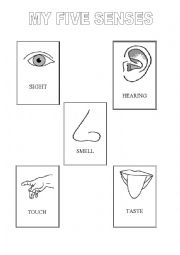 English Worksheet: picture dictionary five senses