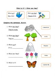 English Worksheet: What is it? - What are they?