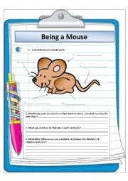 English Worksheet: Being a Mouse (The Witches by Roald Dahl)