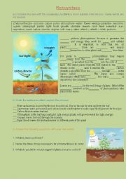 English Worksheet: Photosynthesis