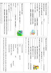 English Worksheet: Lets introduce our brothers and sisters to class!