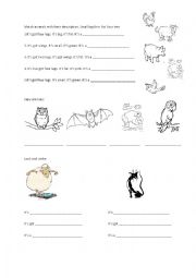 English Worksheet: Match animals with their description