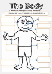 English Worksheet: the body