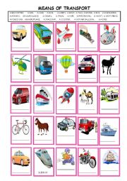 English Worksheet: Means of transport