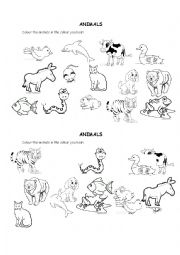 Animals-colouring