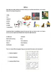 English Worksheet: pets for intermediate students dogs commands, at the vet, breed description and listening