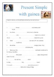 Present Simple with the guinea pigs