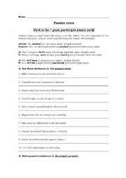 English Worksheet: Passive Voice