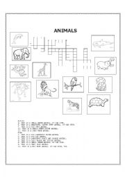 Animals