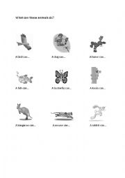 English Worksheet: Animals