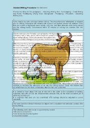 English Worksheet: Standard Milking Procedures