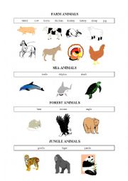 animals