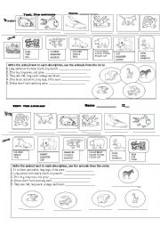 English Worksheet: ANIMALS. EVALUATION 