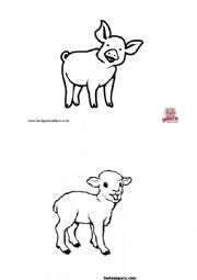 English Worksheet: Listen and colour. Animals