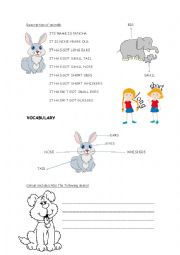 English Worksheet: description of animals