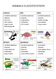 English Worksheet: Animals classification