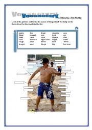 English Worksheet: The names of the parts of  the body on the ilustration