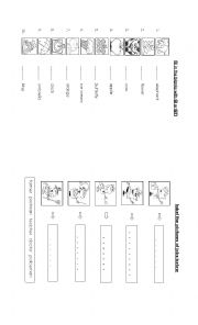 articles a or an and labeling pictures