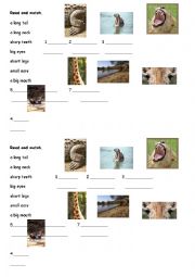 English Worksheet: parts of animal body