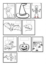 English Worksheet: Halloween creatrures