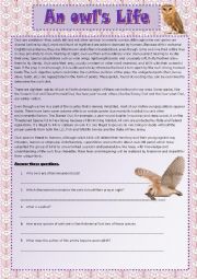 English Worksheet: Owl life
