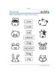 English Worksheet: Animals