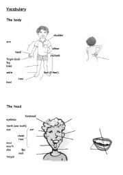 English Worksheet: The body parts